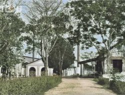 Suasana Pabrik Garam di Kalianget sekitar tahun 1910 – RMA